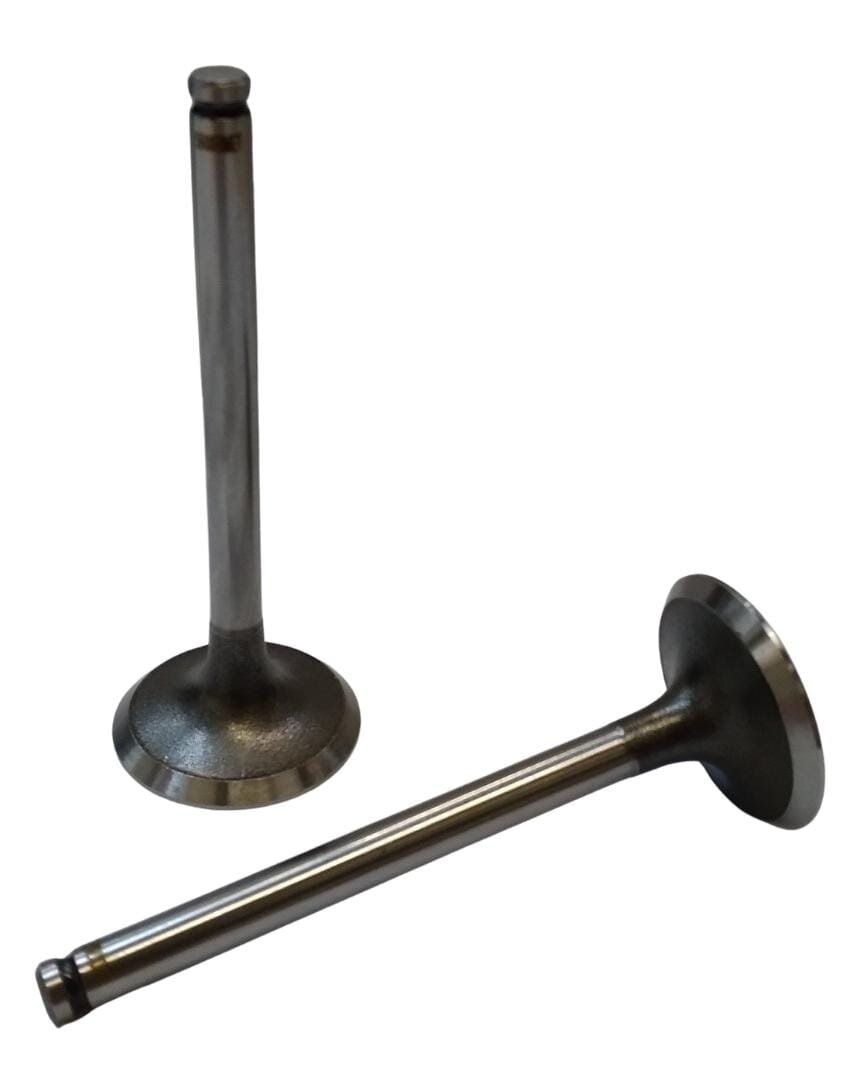 Valvula de Admision Renault 1.4/1.6 56007