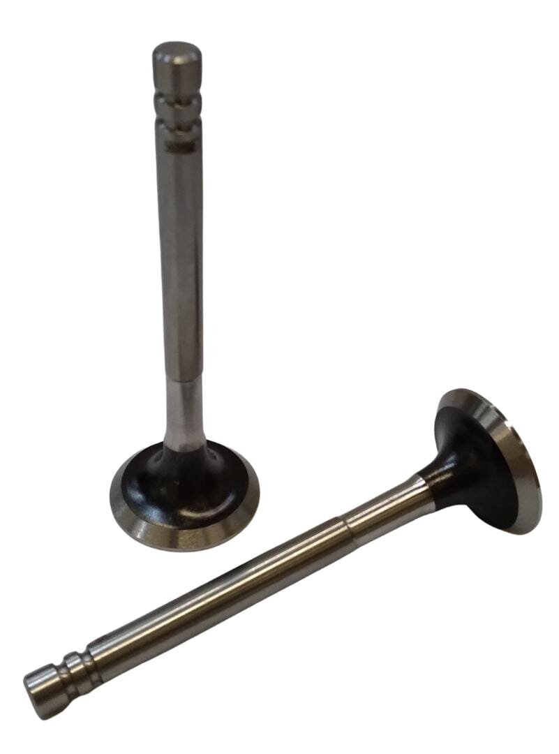 Valvula de Escape Renault 1.4/1.6 56008