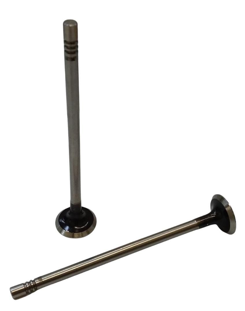 Valvula de Escape Renault Clio/kangoo D4f1.2 16v 56009