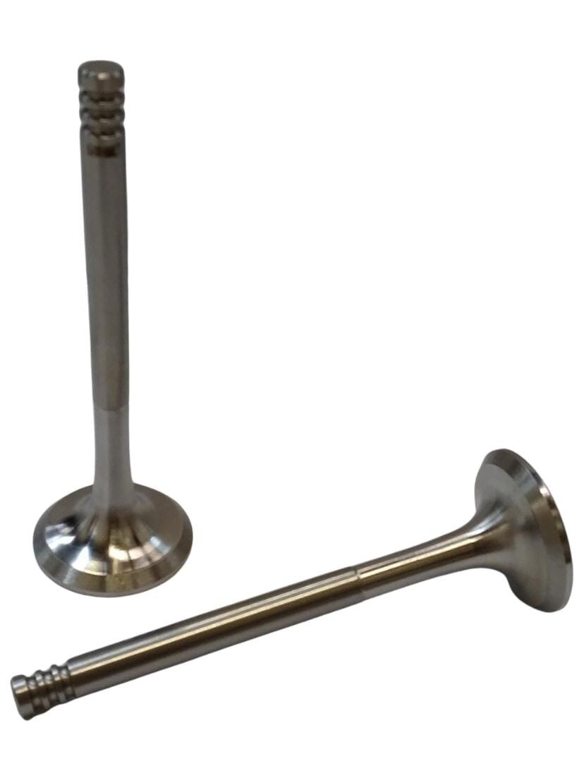 Valvula Escape Wv - Seat 1.9d Mot 1y 57014